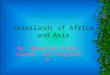 Grasslands of Africa and Asia
