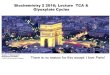 Biochemistry 2 2016; Lecture TCA & Glyoxylate Cycles There is no reason for this except I love Paris!