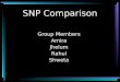 SNP Comparison Group Members Amira Jhelum Rahul Shweta