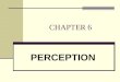 CHAPTER 6 PERCEPTION. Selective Attention Selective Attention: the focusing of conscious awareness on a particular stimulus