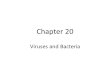 Chapter 20 Viruses and Bacteria. I. Viruses A. Is a Virus Alive? All living things are made of cells, are able to grow and reproduce, and are guided by