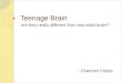 Teenage Brain Are they really different from and adult brain? - Channen Cripps