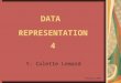 DATA REPRESENTATION 4 Y. Colette Lemard February 2009