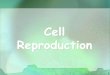 1 Cell Reproduction. 2 Types of Cell Reproduction Asexual reproduction involves a single cell dividing to make 2 new, identical daughter cells Asexual