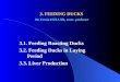 3. FEEDING DUCKS Dr. Istvn HULLR, assoc. professor 3.1. Feeding Roasting Ducks 3.2. Feeding Ducks in Laying Period 3.3. Liver Production