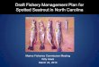 Draft Fishery Management Plan for Spotted Seatrout in North Carolina Marine Fisheries Commission Meeting Kitty Hawk March 24, 2010