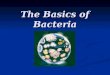 The Basics of Bacteria. What are bacteria? Bacteria are single-celled prokaryotes Bacteria are single-celled prokaryotes DNA is not located in a nucleus
