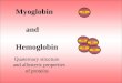 Myoglobin and Hemoglobin Quaternary structure and allosteric properties of proteins Fe