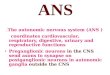 ANS .The autonomic nervous system (ANS )