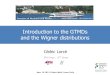 Cdric Lorc IPN Orsay - LPT Orsay Introduction to the GTMDs and the Wigner distributions June 10 2013, Palace Hotel, Como, Italy