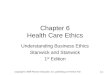 Copyright  2009 Pearson Education, Inc. publishing as Prentice Hall 6-1 Chapter 6 Health Care Ethics Understanding Business Ethics Stanwick and Stanwick