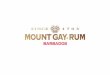 YOUR PREMIUM CHOICE 22/02/111. YOUR PREMIUM CHOICE 22/02/112 Mount Gay Rum - Travel Retail Strategy 7. Introduction of the new advertising visuals Strategies