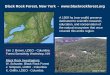 Black Rock Forest, New York -   Kim J. Brown, LDEO - Columbia Forest Sensitivity Workshop, NH Black Rock Investigators: W. Schuster,