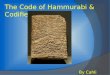 The Code of Hammurabi  Codified Law