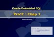 Oracle Embedded SQL Pro*C : Chap 1 작 성 자 : 김선영 메 일 : 버 전 : 1.19 Copyright by SunYoung Kim