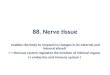 88. Nerve tissue enables the body to respond to changes in its external and internal stimuli =  Nervous system regulates the function of internal organs