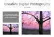 Creative Digital Photography Lyn Belisle Five easy tips to help you take more interesting photo compositions