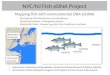 NYC/NJ Fish eDNA Project