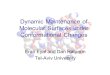 Dynamic Maintenance of Molecular Surfaces under Conformational Changes Eran Eyal and Dan Halperin Tel-Aviv University