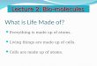 What is Life Made of? Everything is made up of atoms. Living things are made up of cells. Cells are made up of atoms. Lecture 2: Bio-molecules