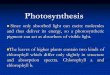 Photosynthesis Since only absorbed light can excite molecules and thus deliver its energy, so a photosynthetic pigment can act as absorbers of visible