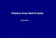 Practice Array Web Process By Shengli Hu. Wads Practice 1 review wads everyday morning. mail assignment everyday. keep the status of wads reflect