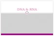 DNA  RNA. DNA Structure  Double stranded (long)  Nucleotides  deoxyribose, phosphate, Nitrogen base  Nitrogen bases  Adenine  Thymine  Cytosine