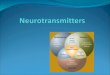 What is a neurotransmitter? Chemicals secreted by neurons Stimulated action potential in adjacent neurons Two types of responses: Excitatory Inhibitory