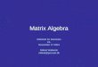 Matrix Algebra Methods for Dummies FIL November 17 2004 Mikkel Wallentin