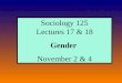 Sociology 125 Lectures 17  18 Gender November 2  4