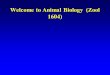 Welcome to Animal Biology (Zool 1604). Zool 1604 Animal Biology 317 Engineering South, MWF, 12:30-1:20