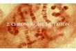 2. CHROMOSOME MUTATION. Chromosomal Mutation Mutation involving a long segment of DNA. Involves Numerical abnormalities- number of chromosomes changes