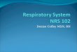 Denise Coffey MSN, RN. Respiratory Assessment Structure and Function Subjective DataHealth History Questions Objective DataThe Physical Exam Abnormal