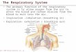 Copyright  2004 Pearson Education, Inc., publishing as Benjamin Cummings The primary function of the respiratory system is to allow oxygen from the air