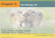 Copyright © 2009 Pearson Education, Inc. PowerPoint Lectures for Biology: Concepts & Connections, Sixth…