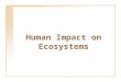 Human Impact on Ecosystems. Everglades, United States March 1973June 2002