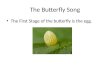 The Butterfly Song The First Stage of the butterfly is the egg
