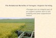 The Rotational Benefits of Forages: Organic Farming Forages are an integral part of an organic system…