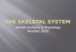 Human Anatomy & Physiology Nov/Dec 2015. Be able to identify the major anatomical structures found in…