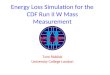 Energy Loss Simulation for the CDF Run II W Mass Measurement Tom Riddick University College London