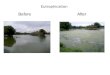 BeforeAfter Eutrophication. Eutrophication – nutrient enrichment of waters Major nutrients -phosphorus…