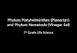 Phylum Platyhelminthes (Planarian) and Phylum Nematoda (Vinegar Eel) 7 th Grade Life Science