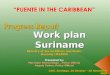 Work plan Suriname Chili, Santiago, 26 October – 03 November 2009 Ministry of Social Affairs and Public…