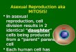 Asexual Reproduction aka MITOSIS! In asexual reproduction, cell division results in 2 identical â€œdaughterâ€‌