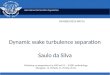 International Civil Aviation Organization Dynamic wake turbulence separation Saulo da Silva Workshop…