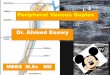 6  peripheral venous duplex superfiscial venous system in lower limb anatomy dr ahmed esawy