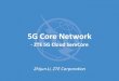 5G Core Network - ZTE 5g Cloude ServCore