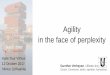 Agile Tour Vilnius 2017 - Agility in the face of Perplexity (by Gunther Verheyen)