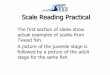 SFCC Scale Reading Practical - 2017