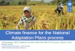 Climate Finance - National Adaptation Plans under the UNFCCC Process - Webinar
